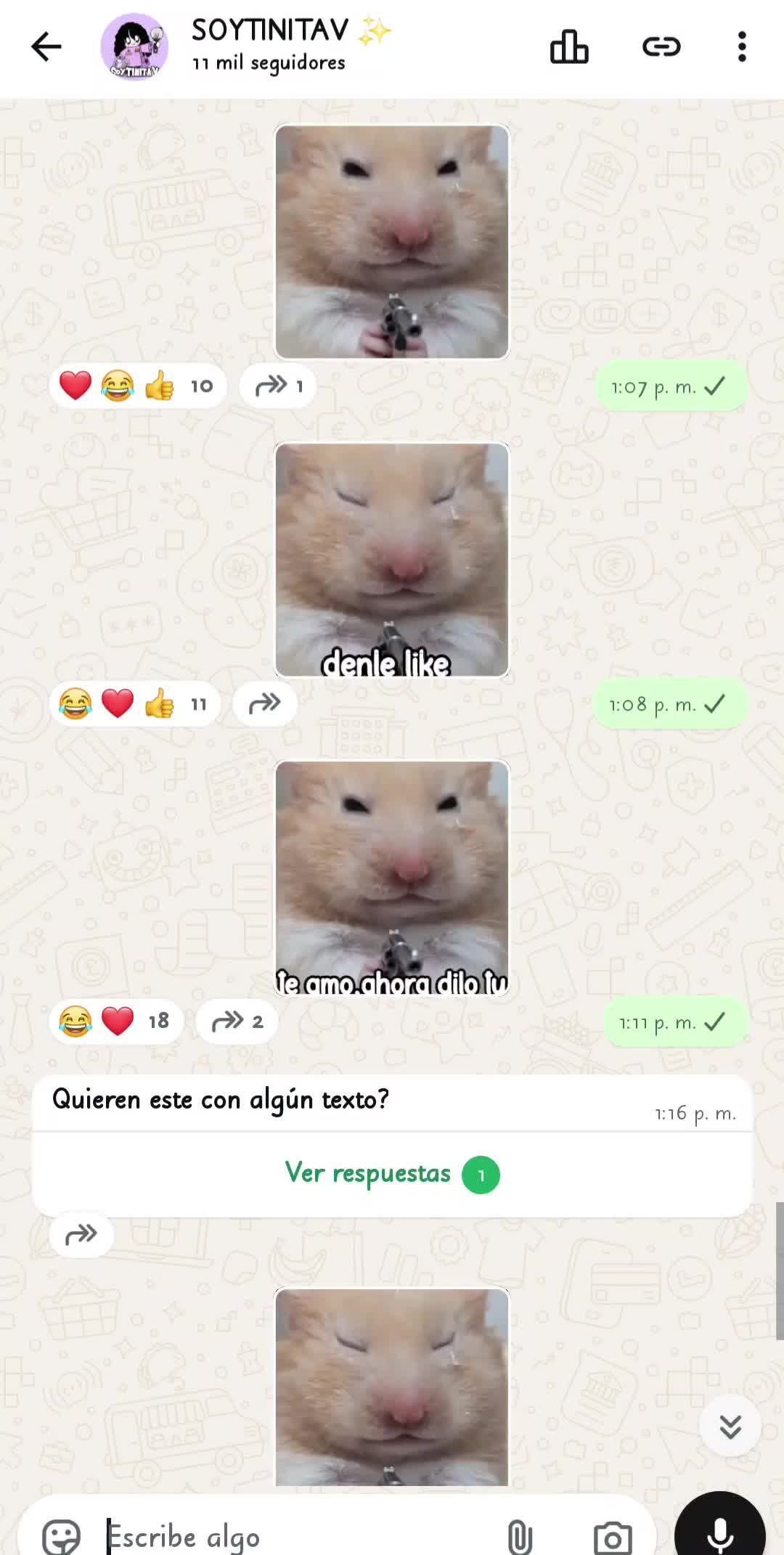 @soytinitav