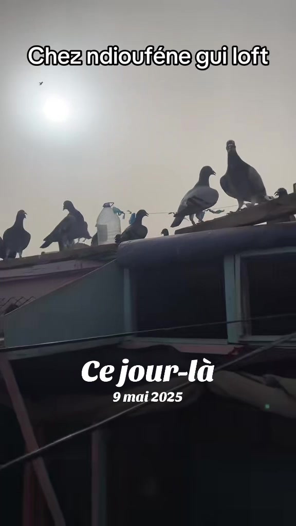 @OMZOLOFT🕊🦜🇸🇳