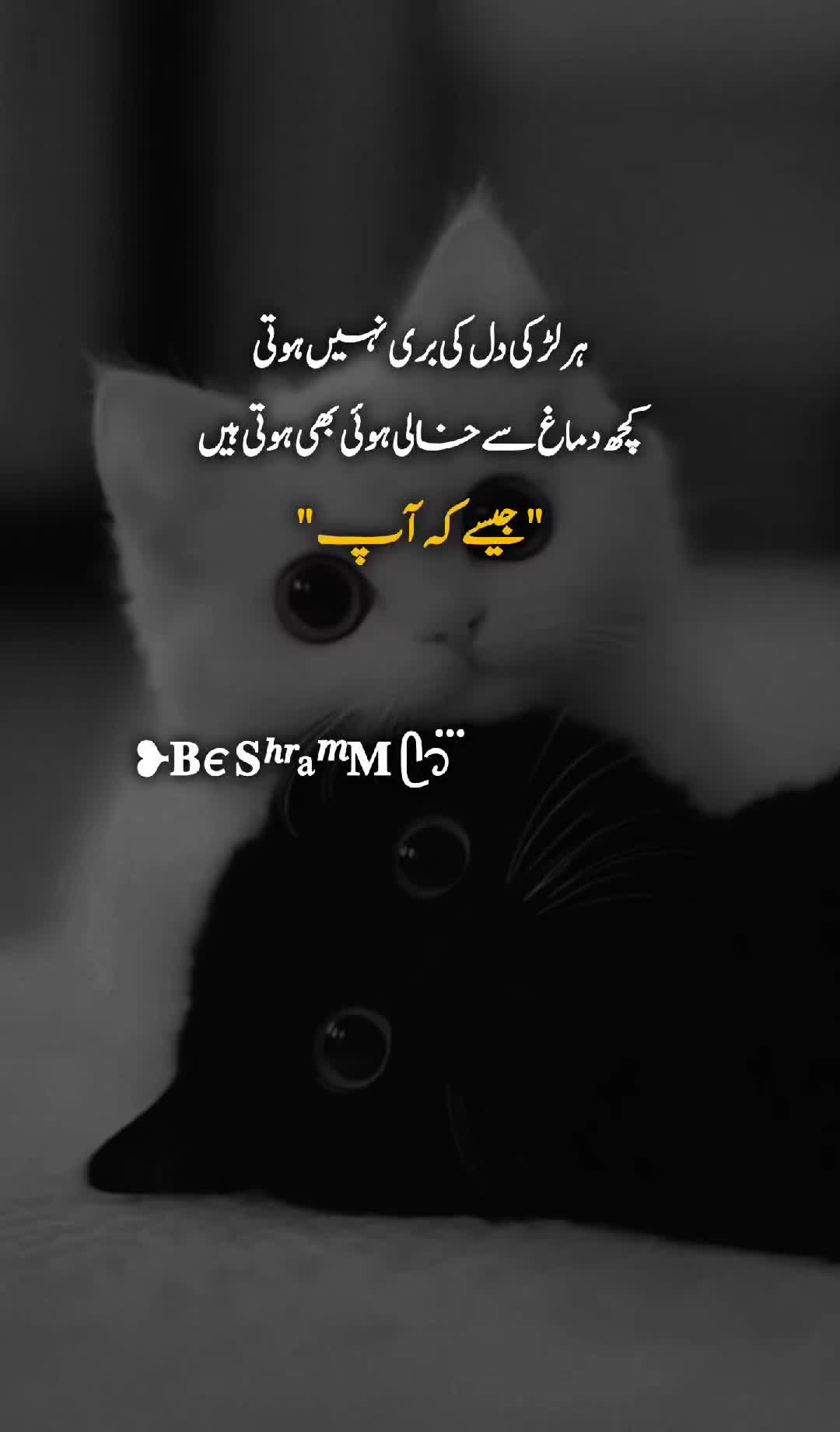@❥𝐁є 𝐒ʰʳaᵐ𝐌 ᥫ᭡፝֟፝֟