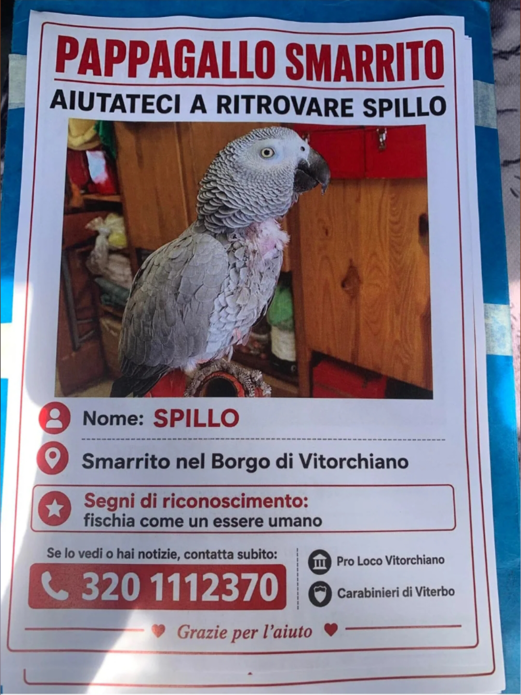 @L'arte della Magia