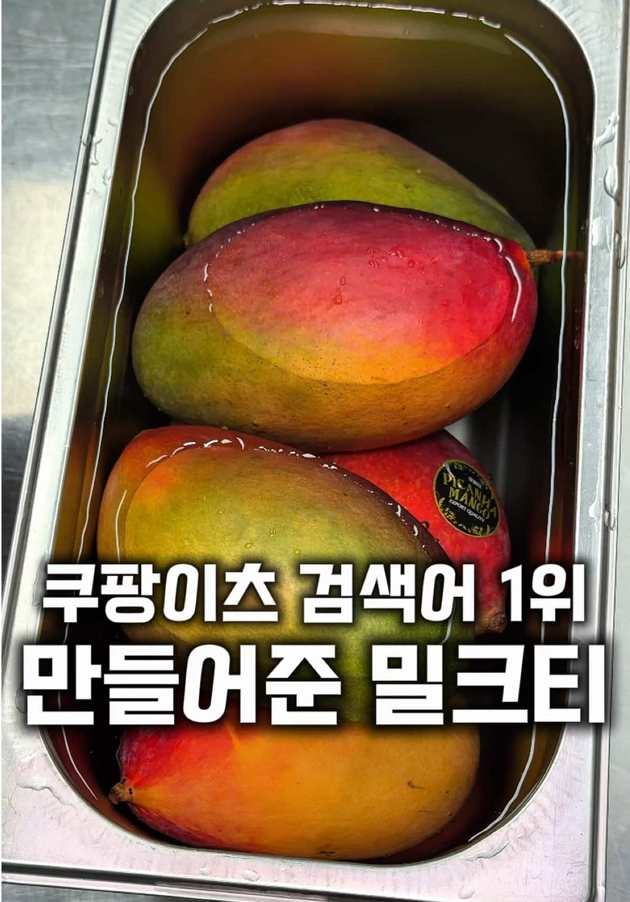 @먹보패밀리