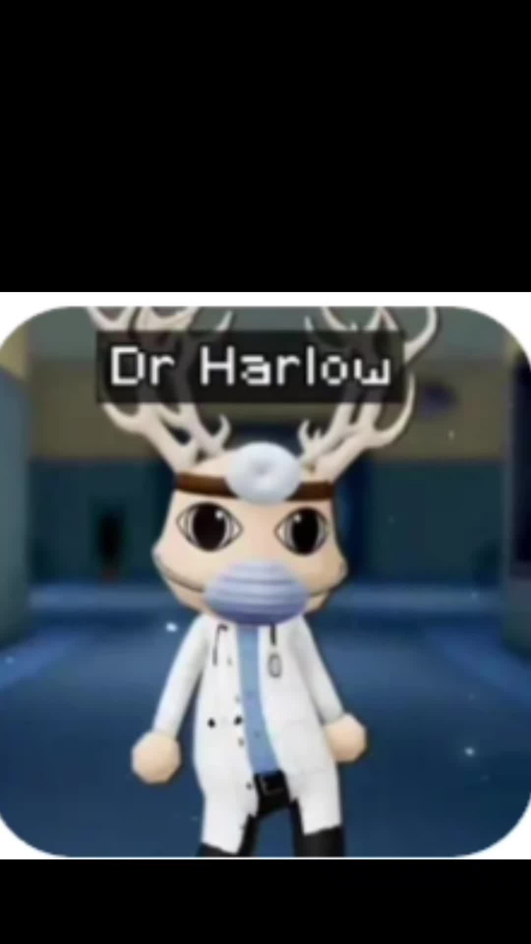 @verity but animal hospital