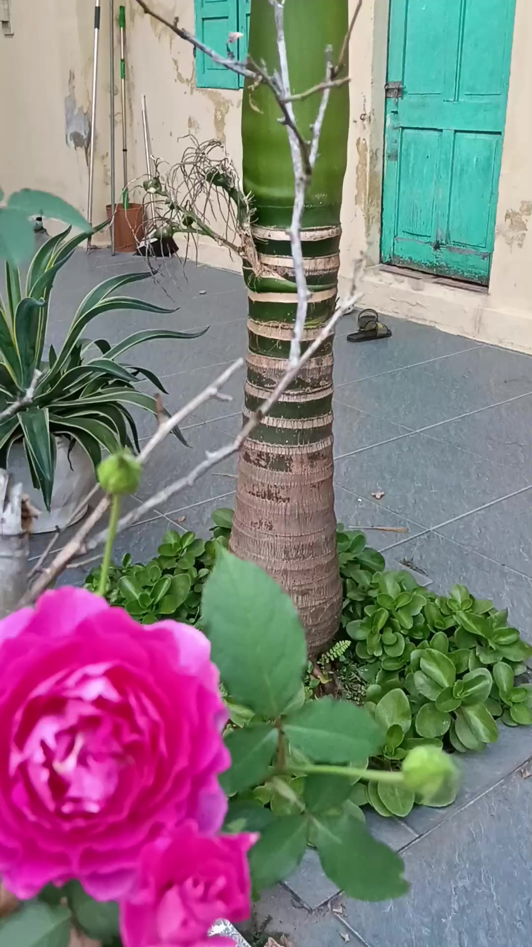 @Th&uacute;y Đ&ocirc;ng shops