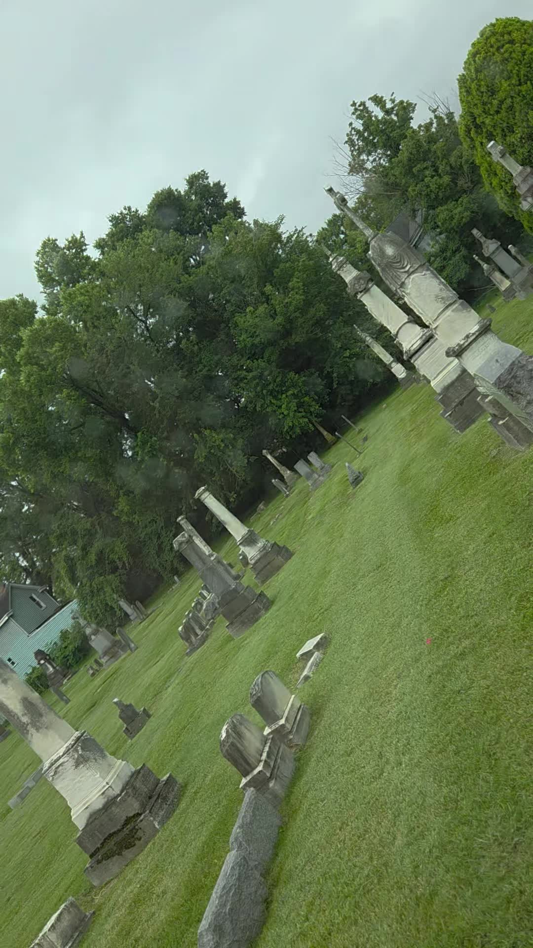 @Halloweenghoul31🎃