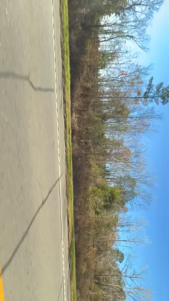 @thats.quez.5.3