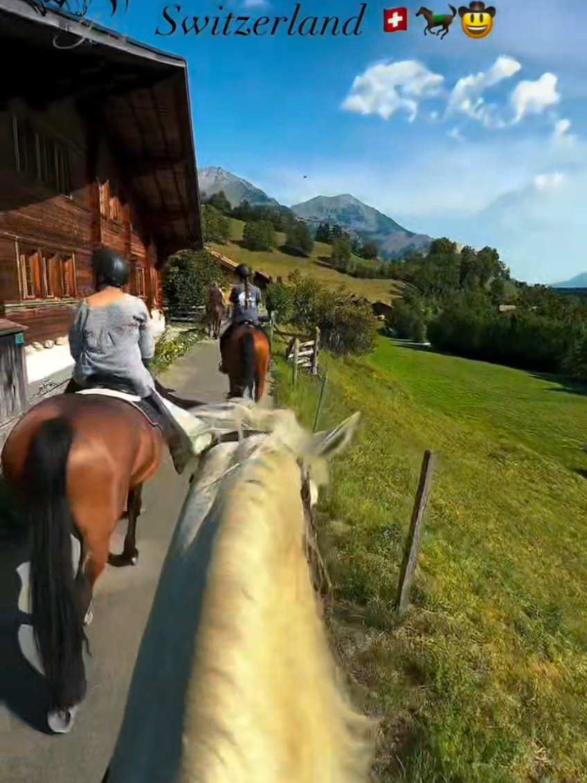 @streamhorse