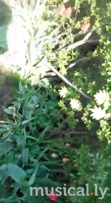 @ala ᖭི༏ᖫྀ