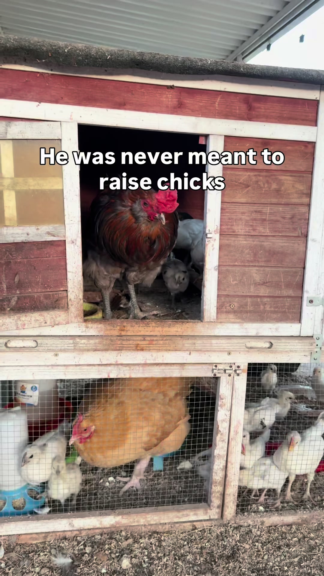 @The Real Estate Chick