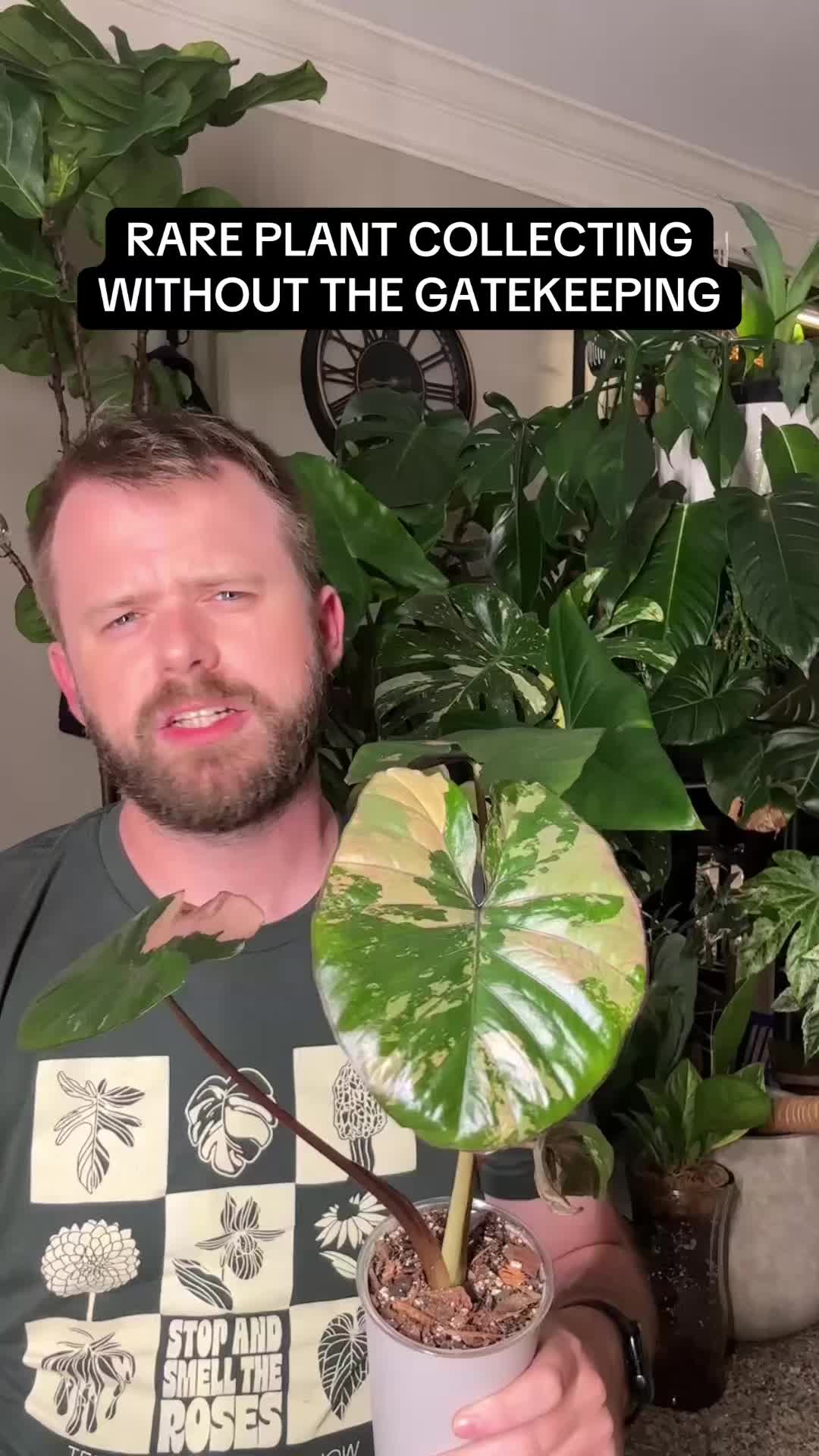 @🌱yler✨Beatty&rsquo;s Botanics