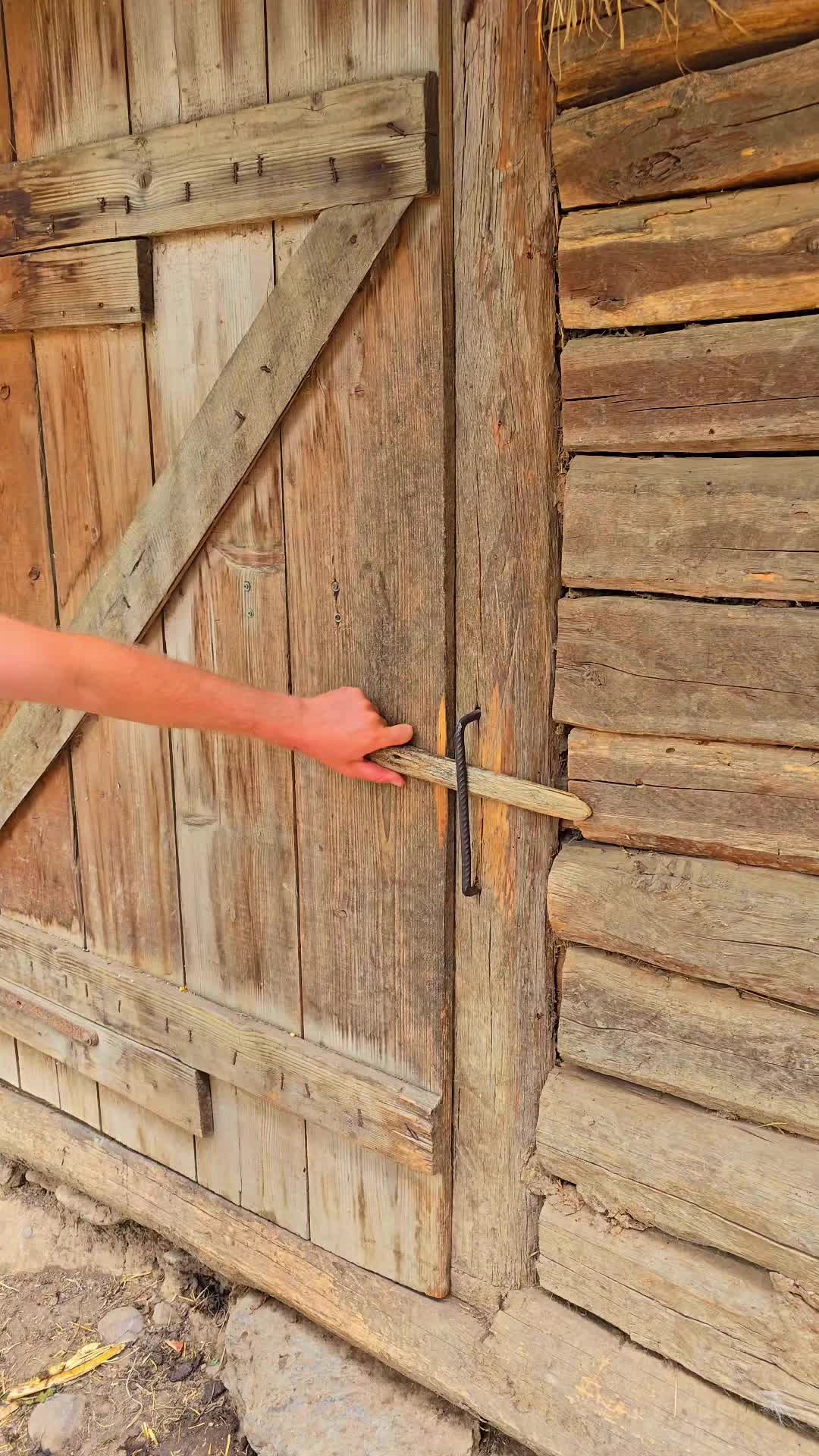 @Viața Satului Bihorean🌏