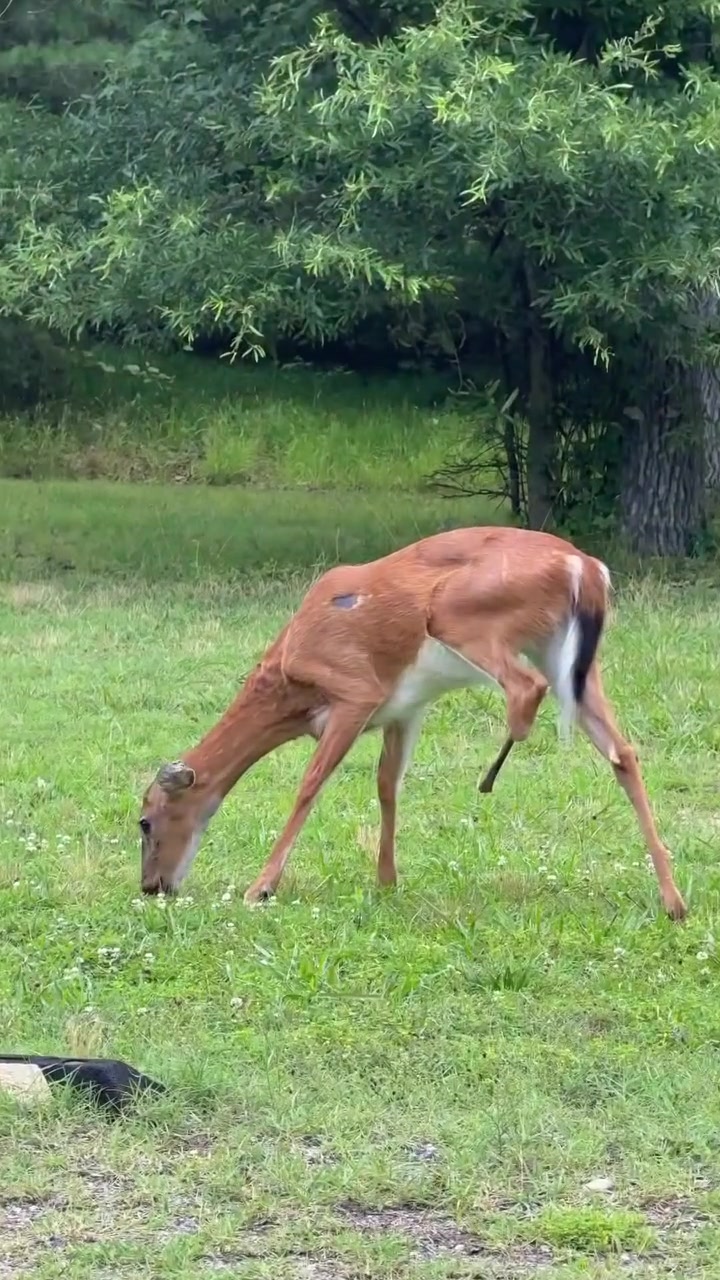 @Buckmasters Outdoors