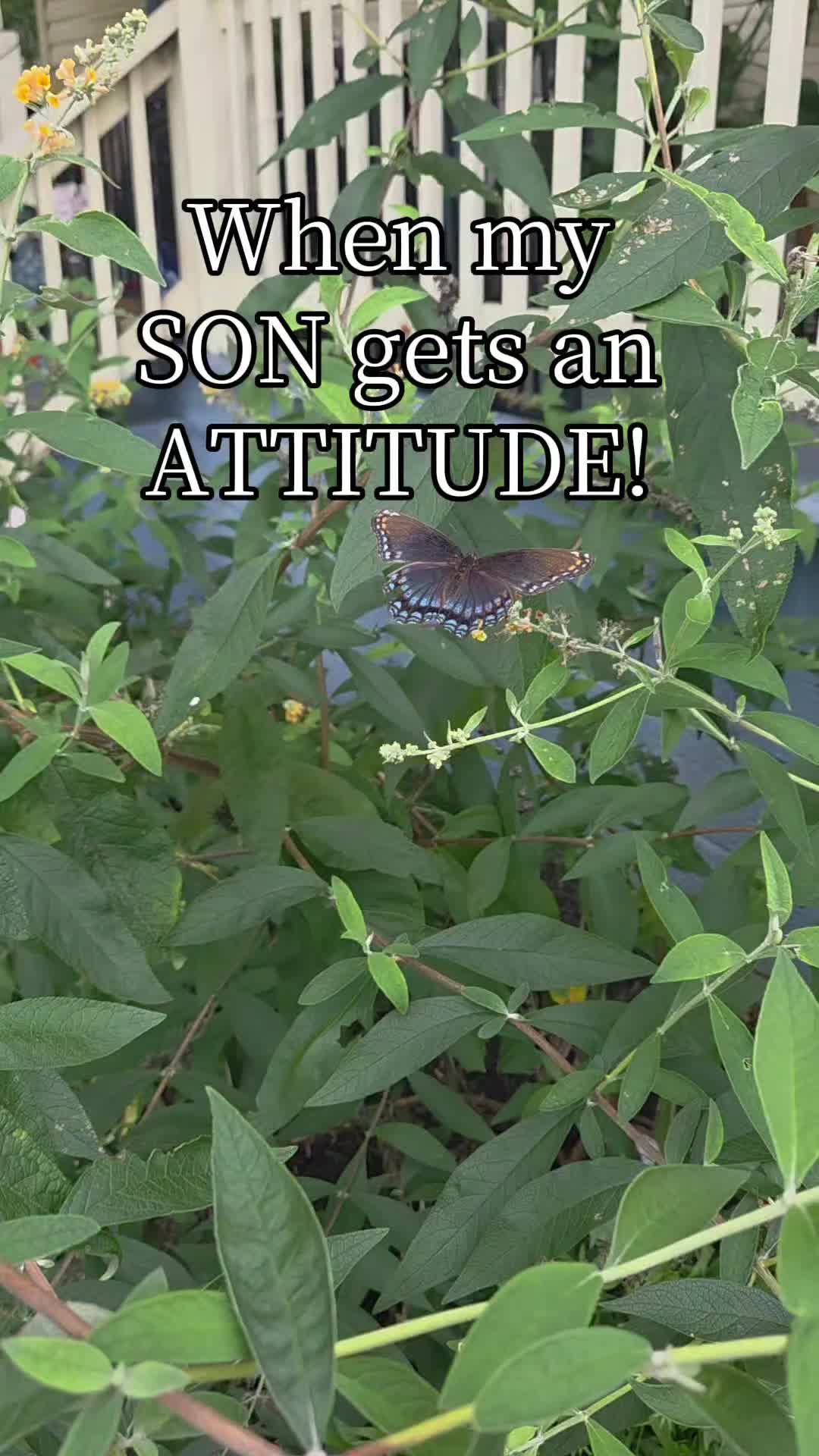 @The Crystal Frog Co.