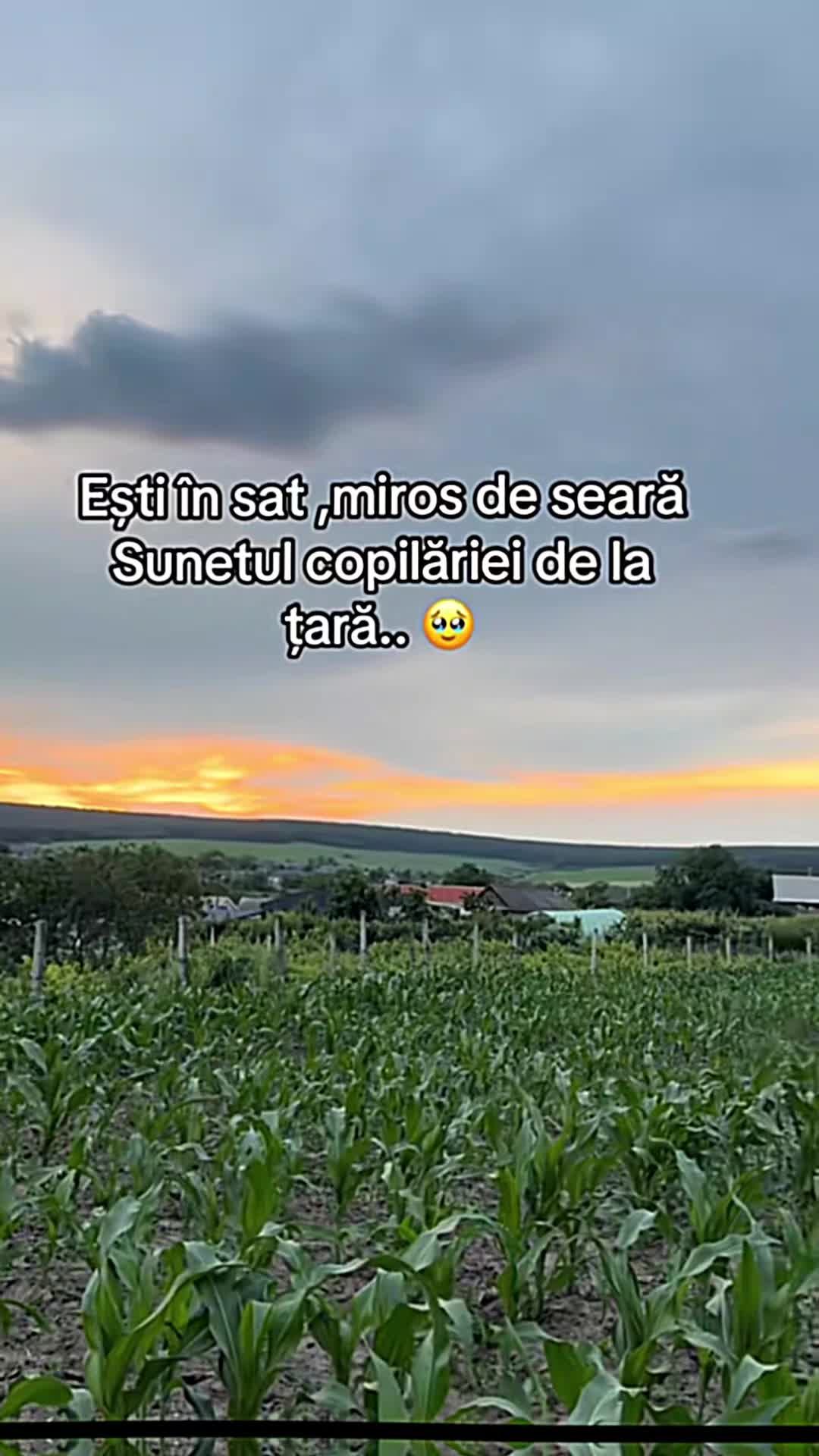 @Cristina Valentina