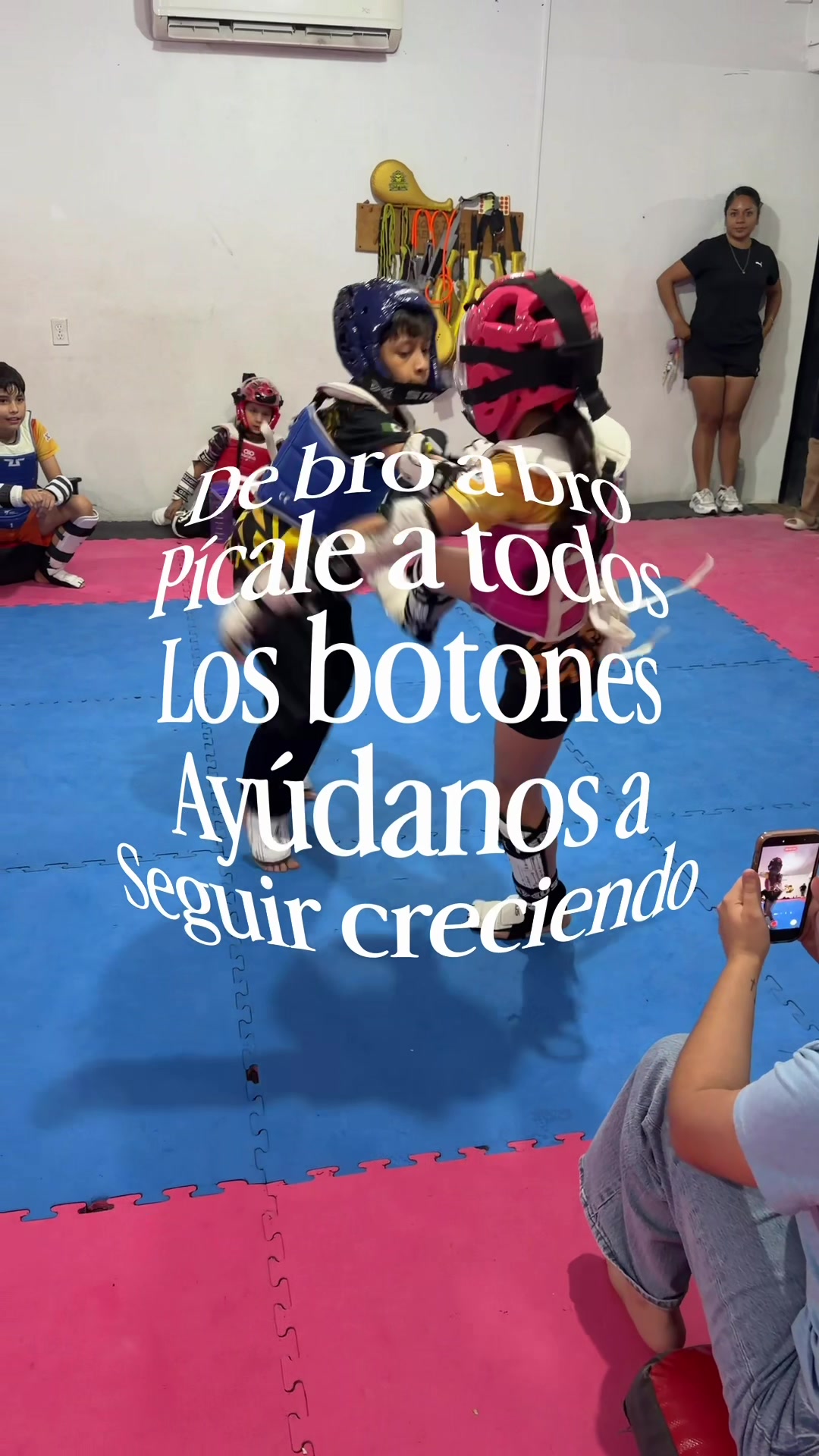 @taekwondolionsteam