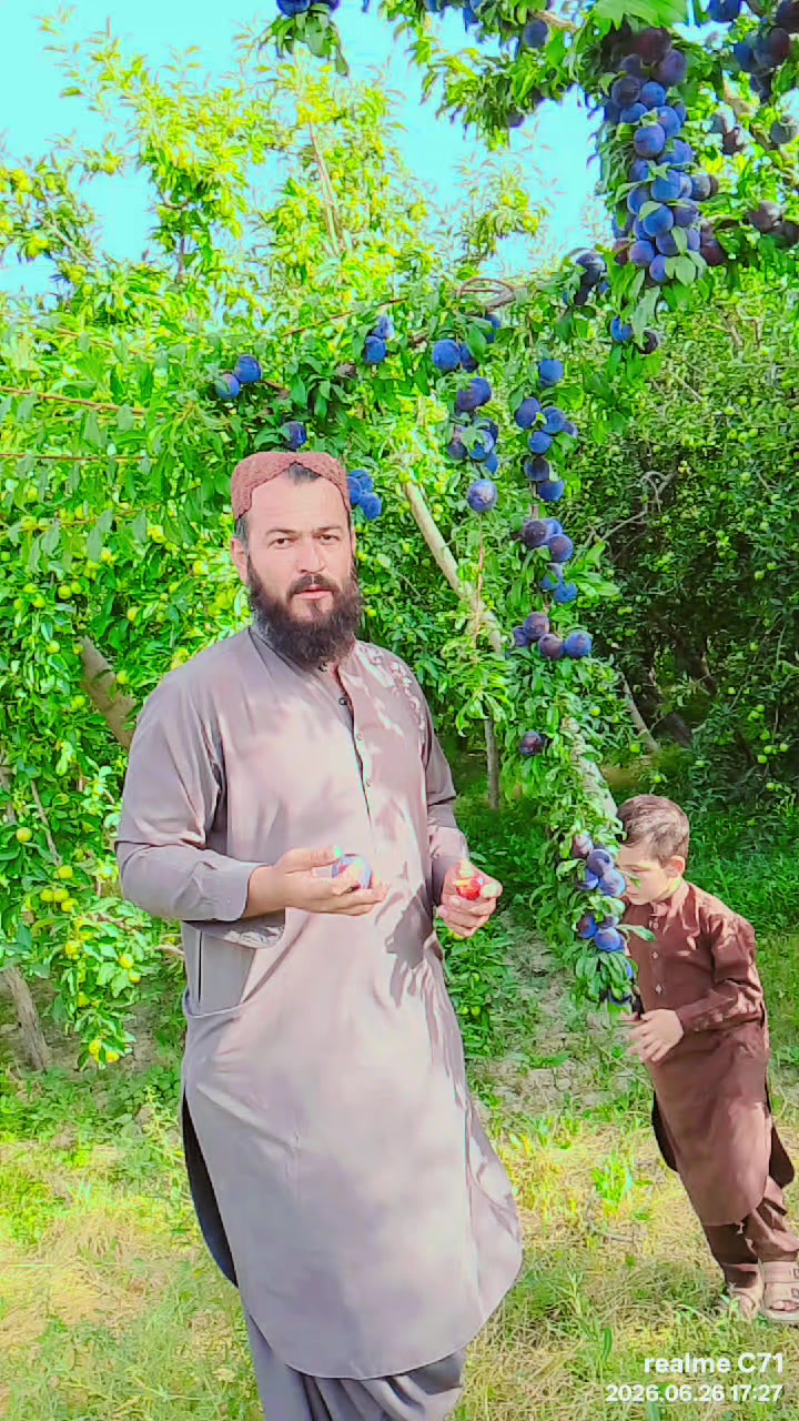 @rashidkhan804