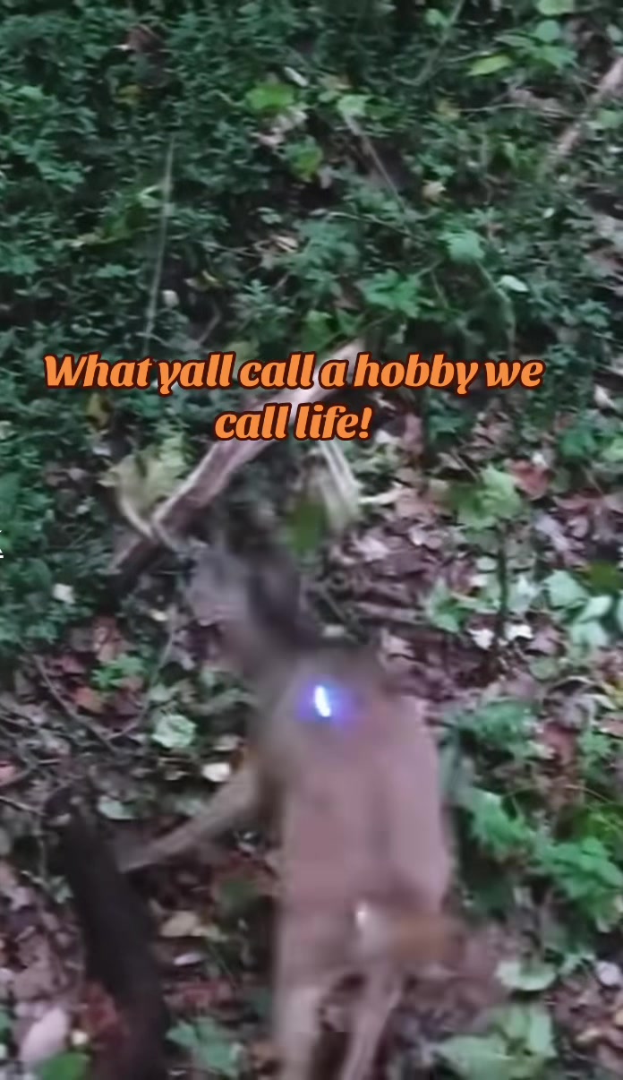 @🦌 Megabucks Outdoors 🦌