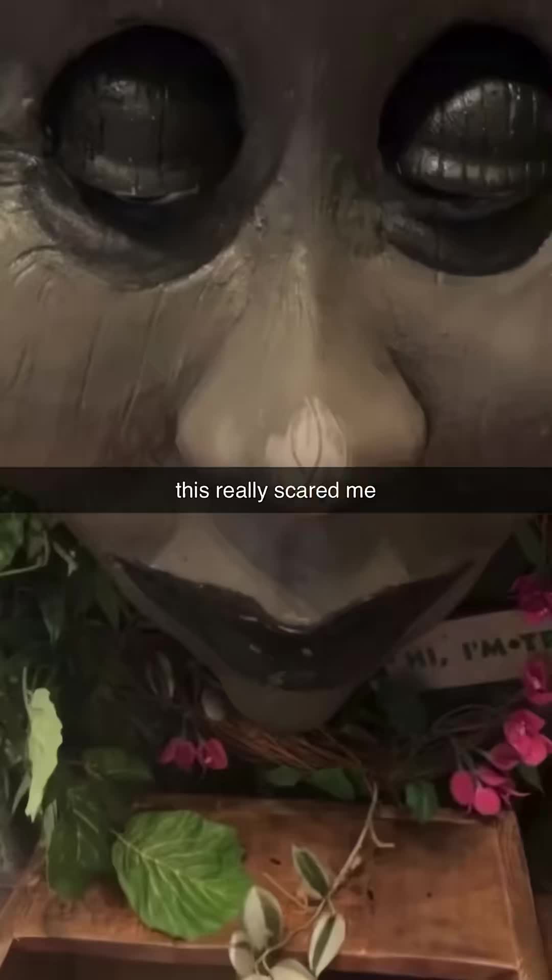 @MemeHub