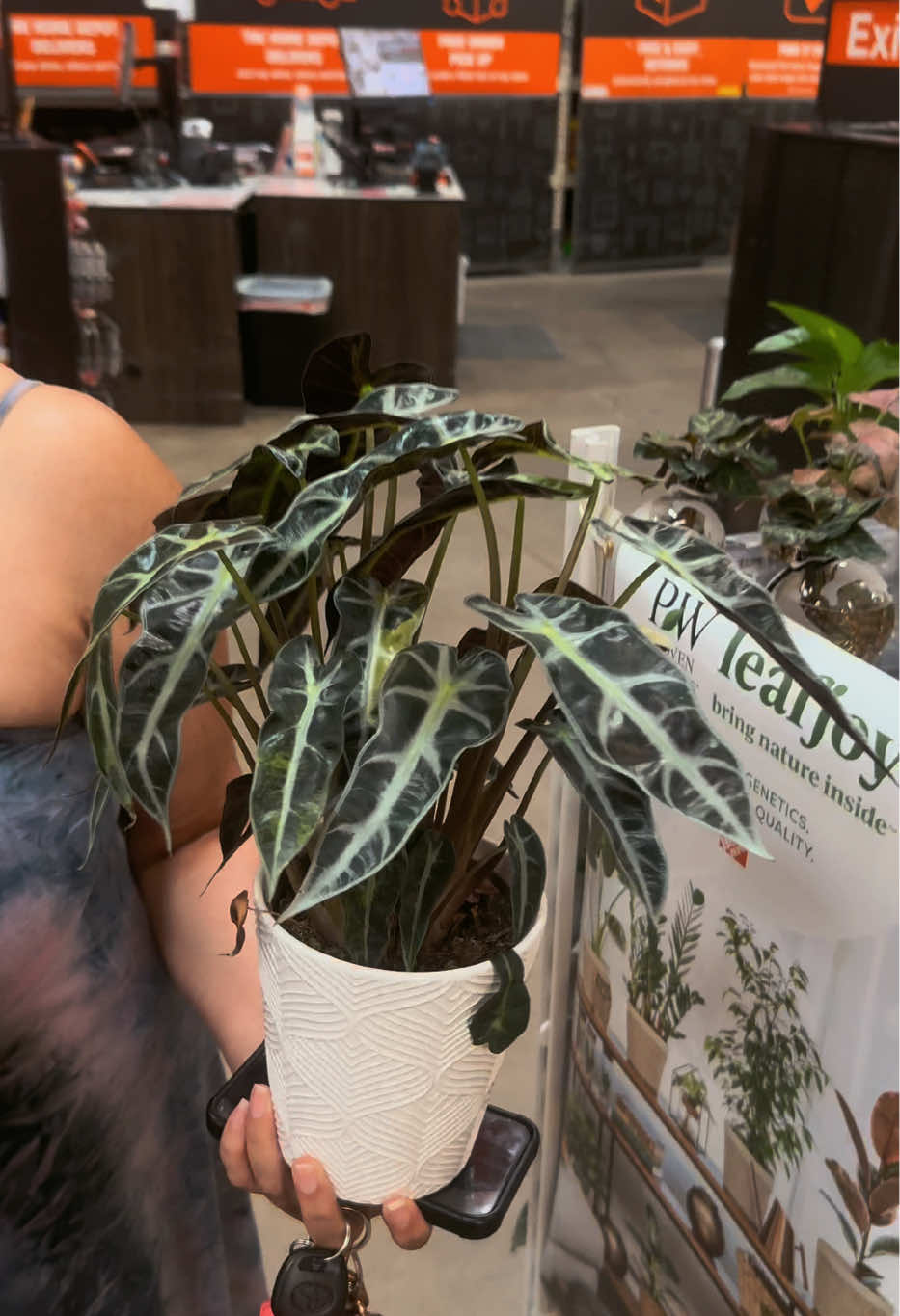 @Plant Deco ATL
