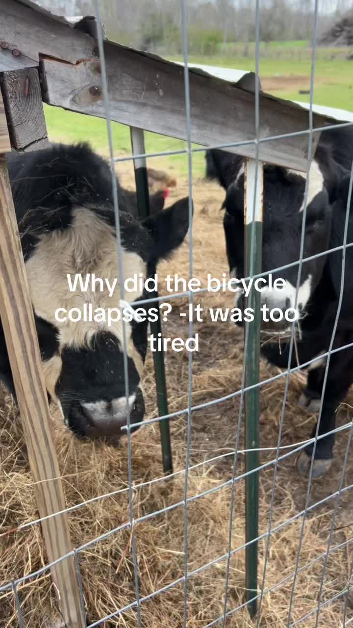 @Cheney Farm