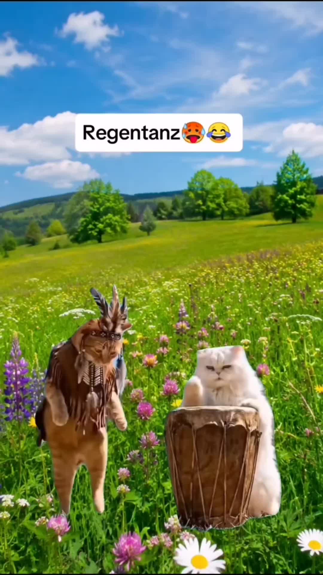 @Maja😼💅🌹💫