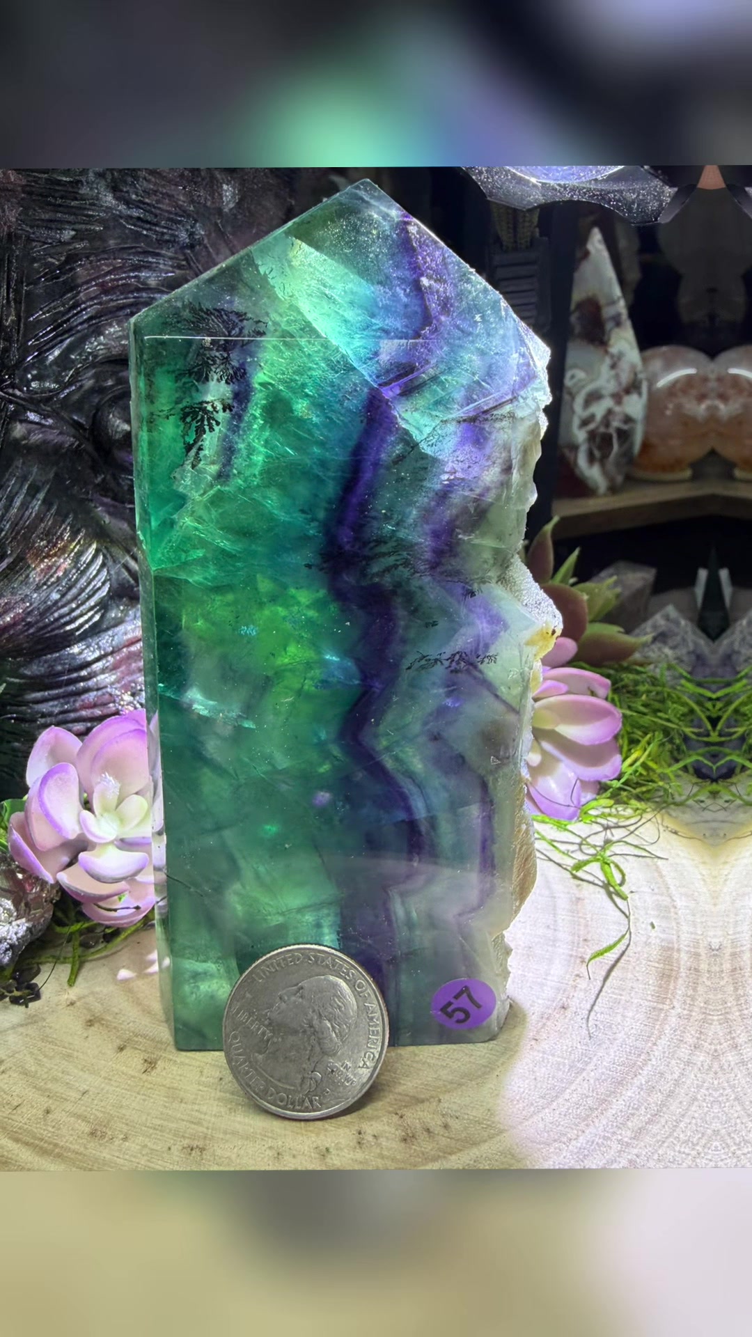 @The Crystal Parrot Crystals