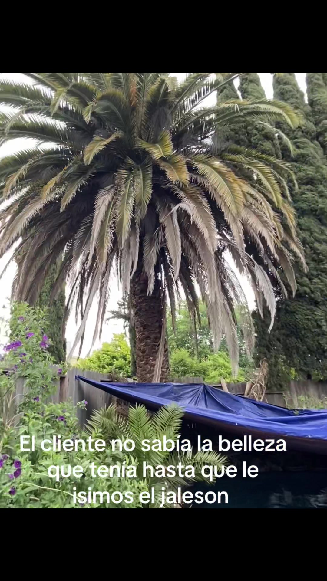 @Leonel Cortez