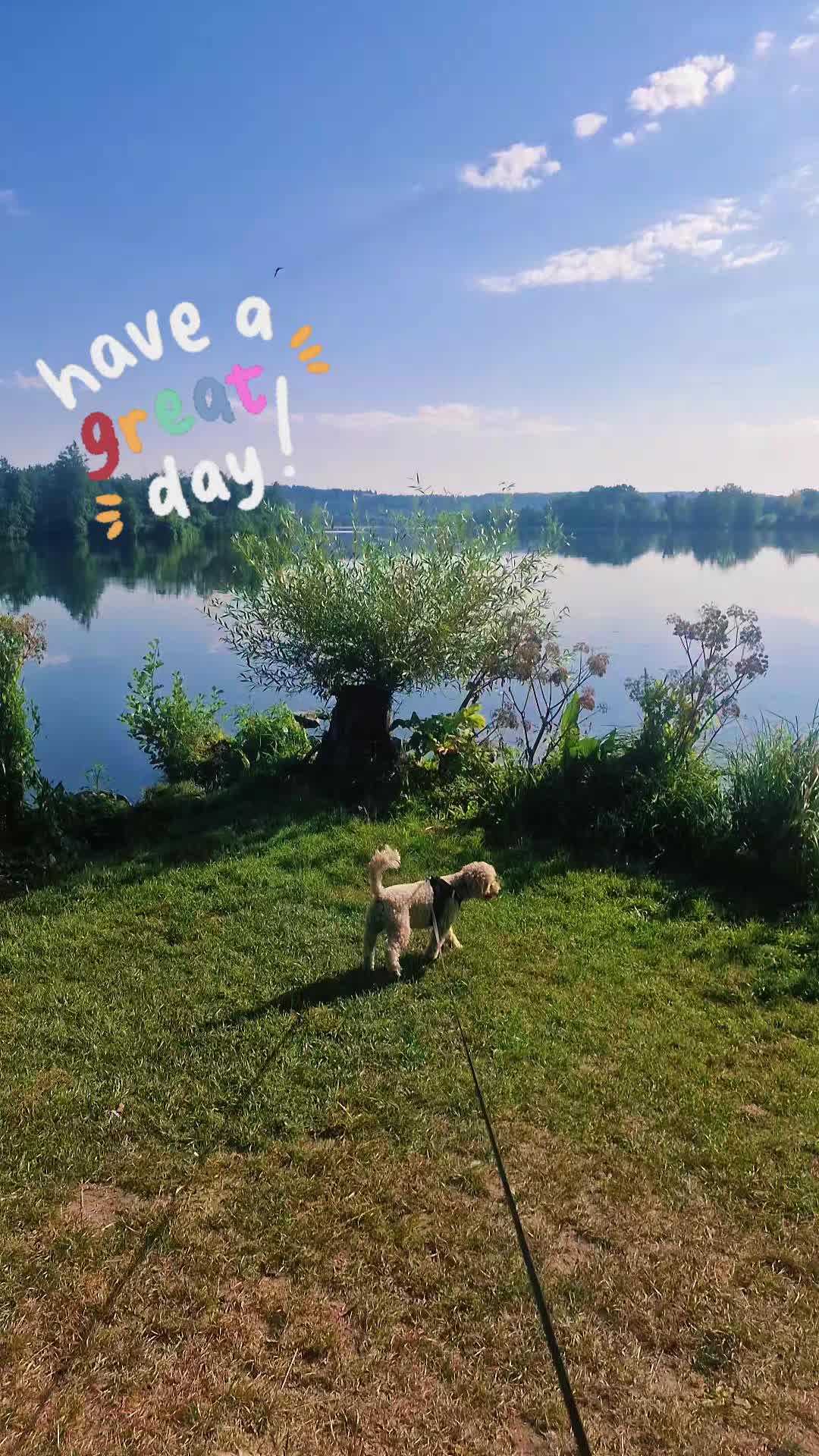@Teddi