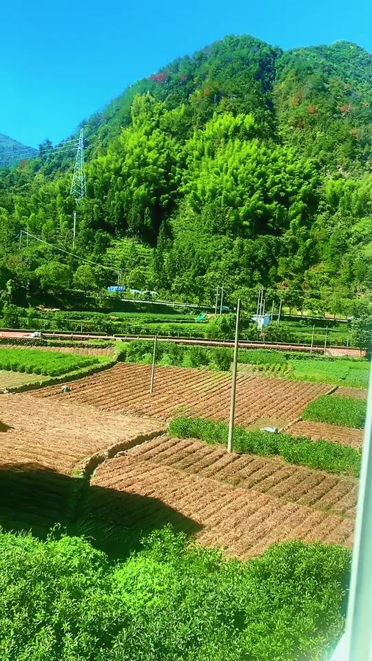 @ka ka