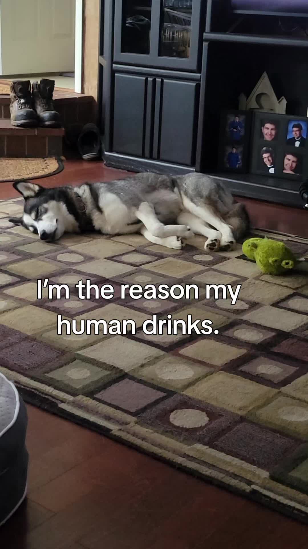 @the Hussey Husky