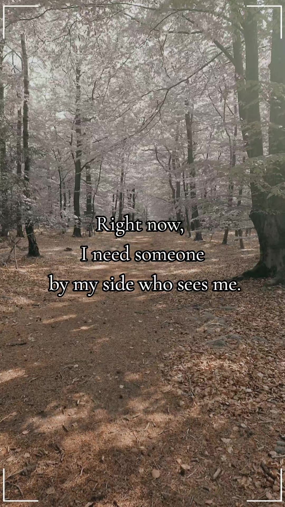 @E L L I G R A C E