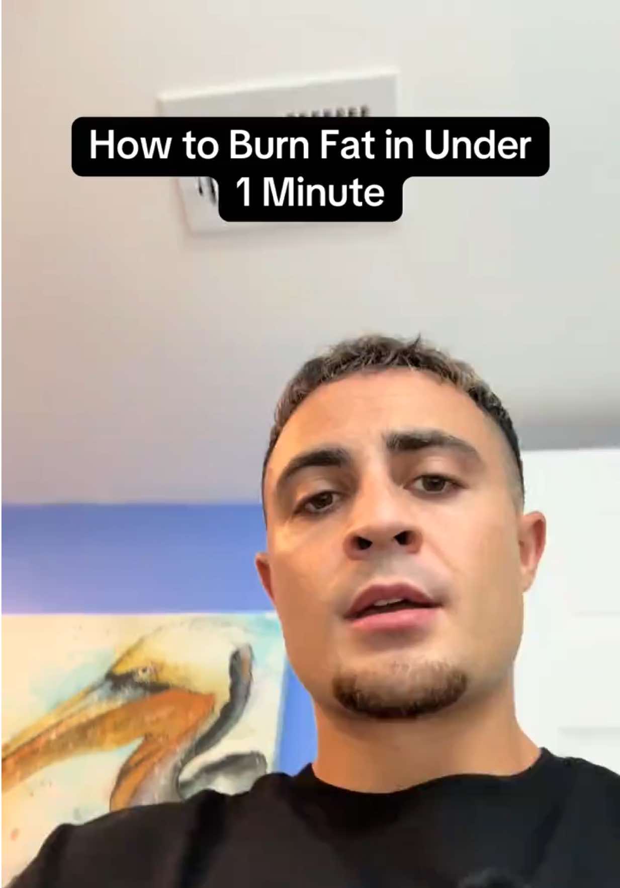 @ibdailyy