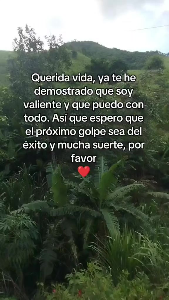@Rivera Rivera 🍄💫