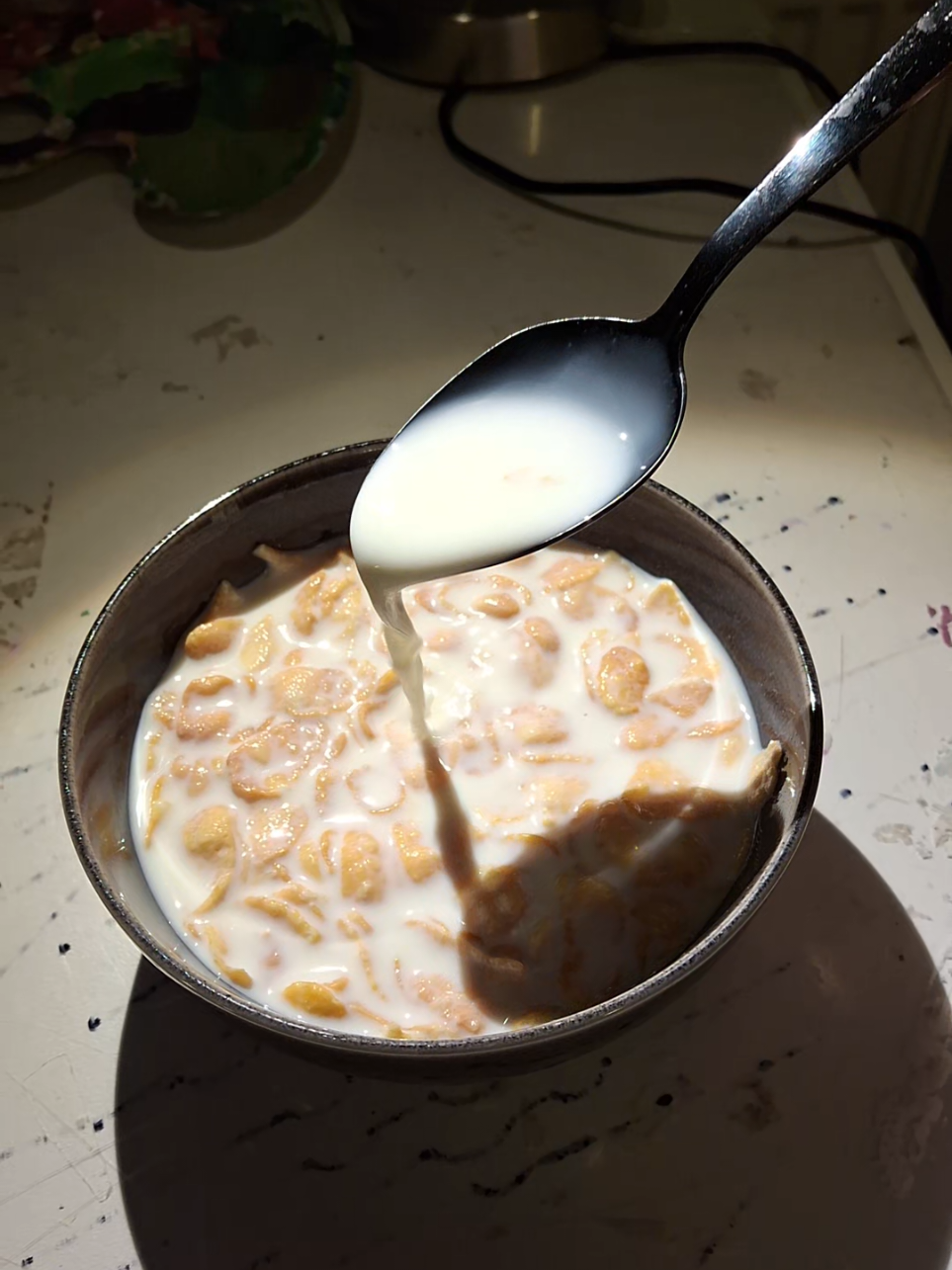 @𝓛𝓲𝓪