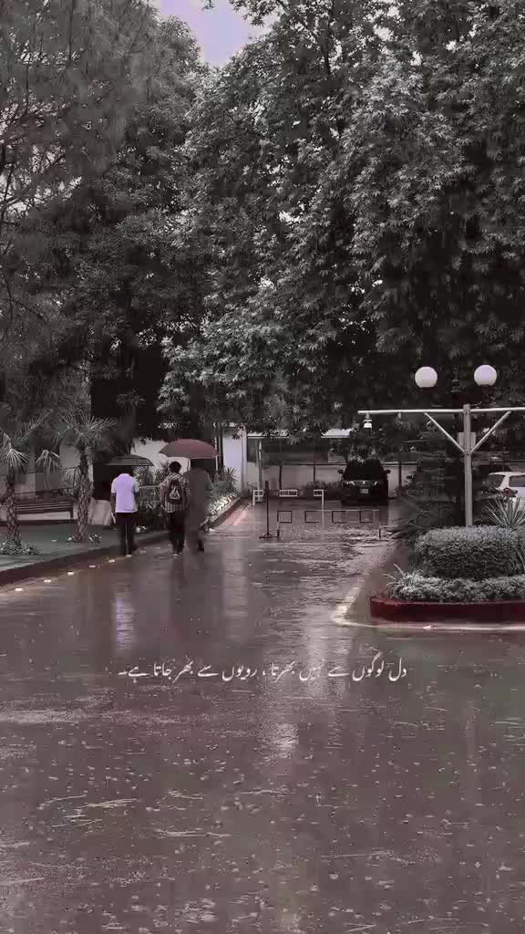 @𝔖𝔞𝔦𝔯𝔞 𝔄𝔥𝔪𝔞𝔡 🍁