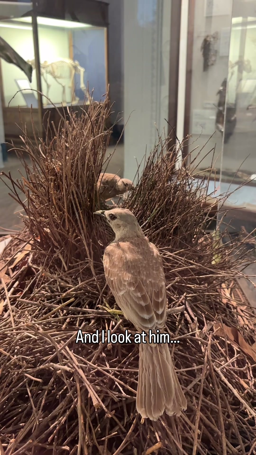 @Field Museum