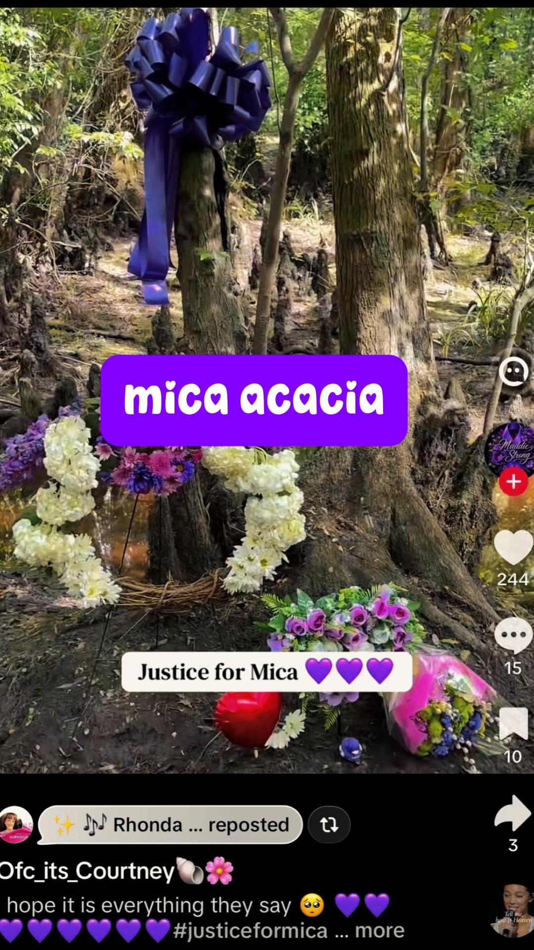 @xo penelope m