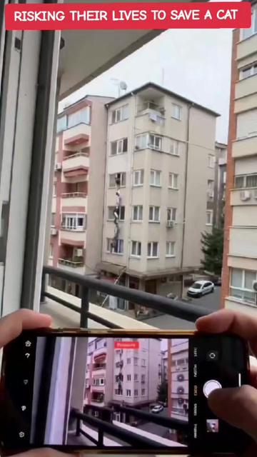 @Laroche ✅️