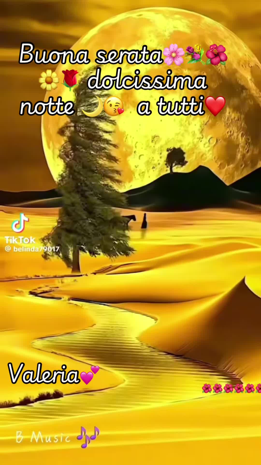 @valeriaevangelis840