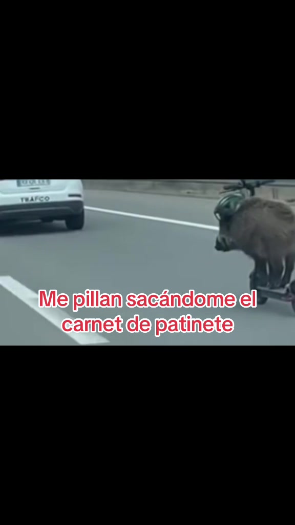 @Labambalinacordoba