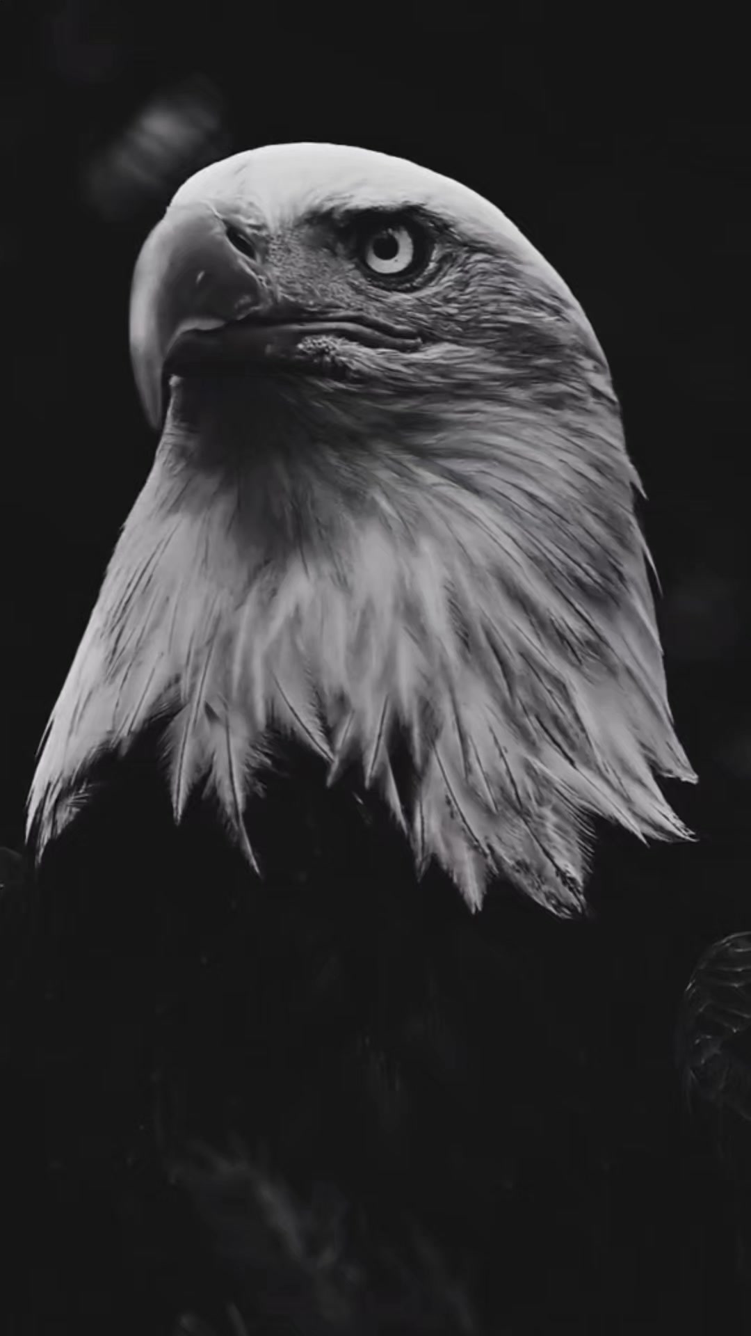 @🇫&nbsp;🇦&nbsp;🇷&nbsp;🇪&nbsp;🇸