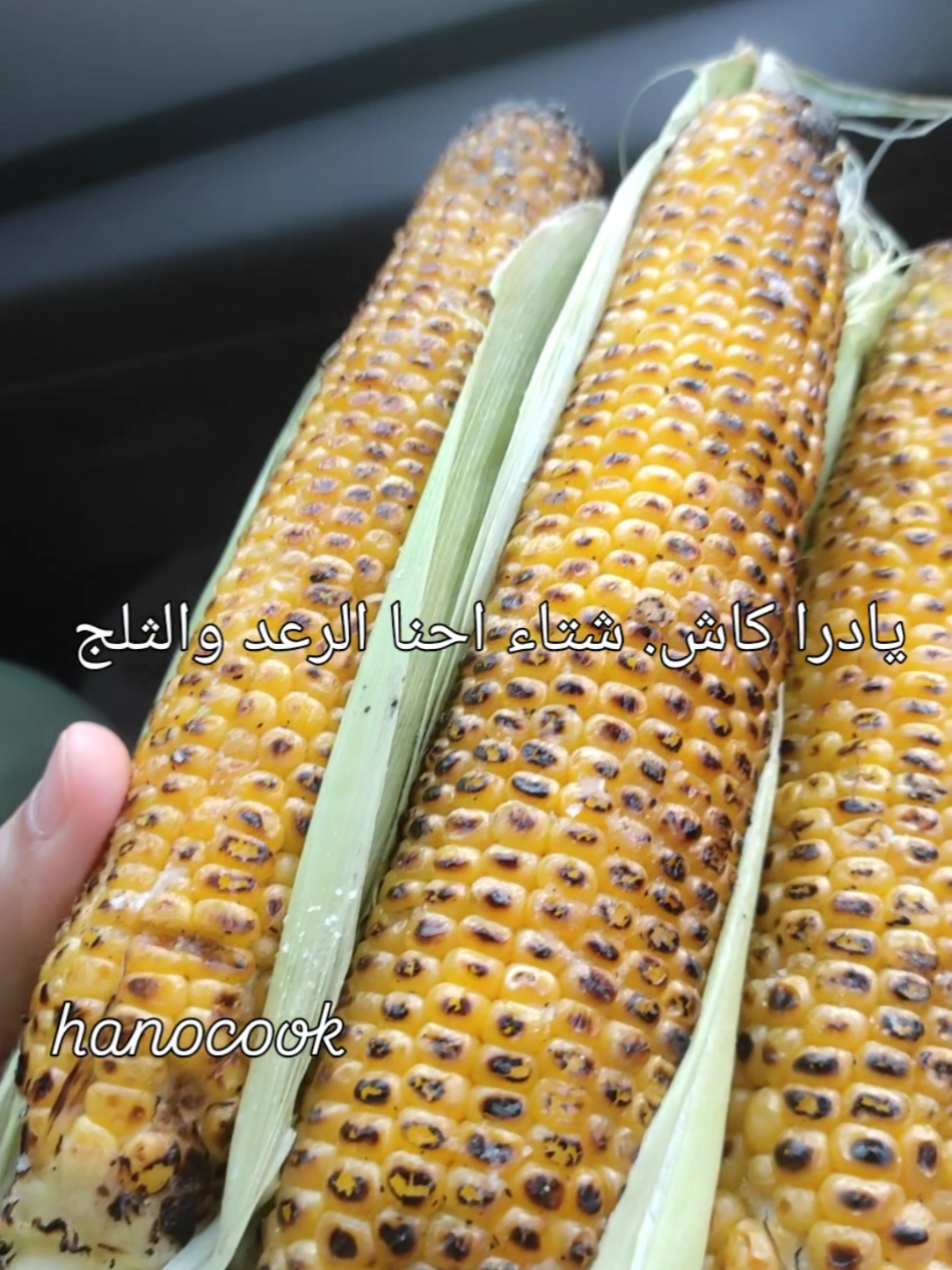@hanocook