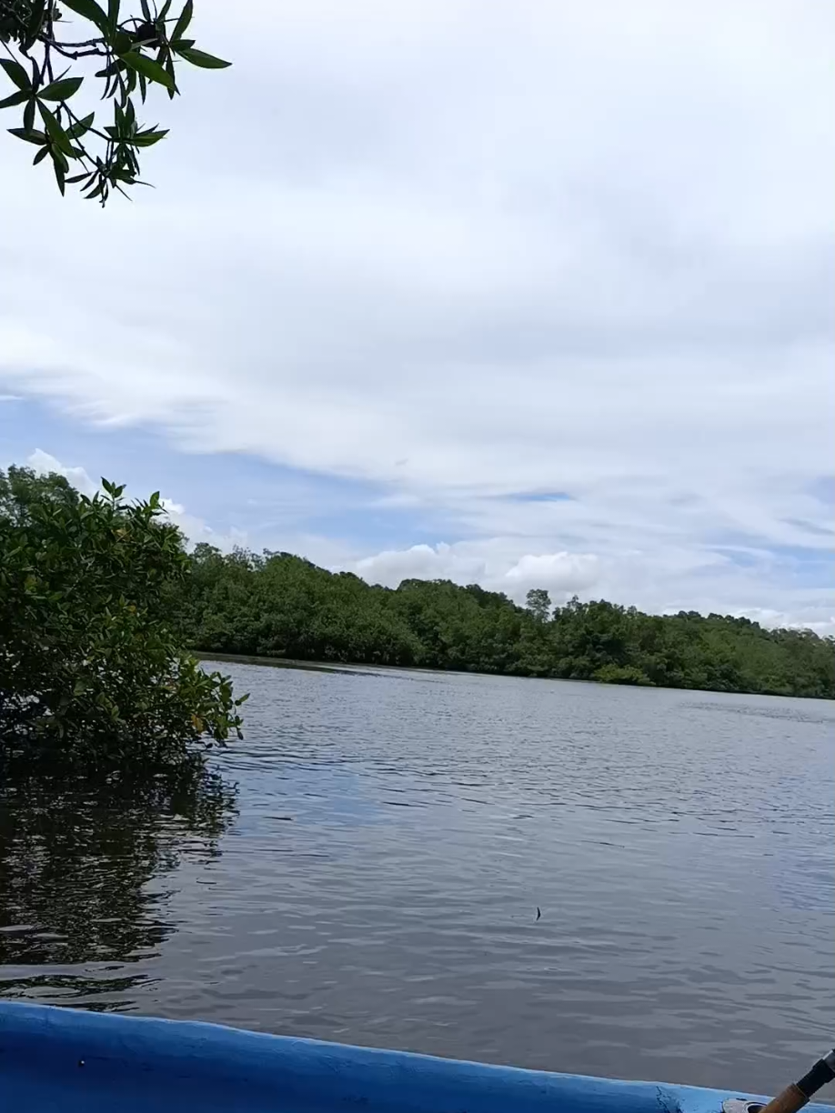 @SunnyFishingCR