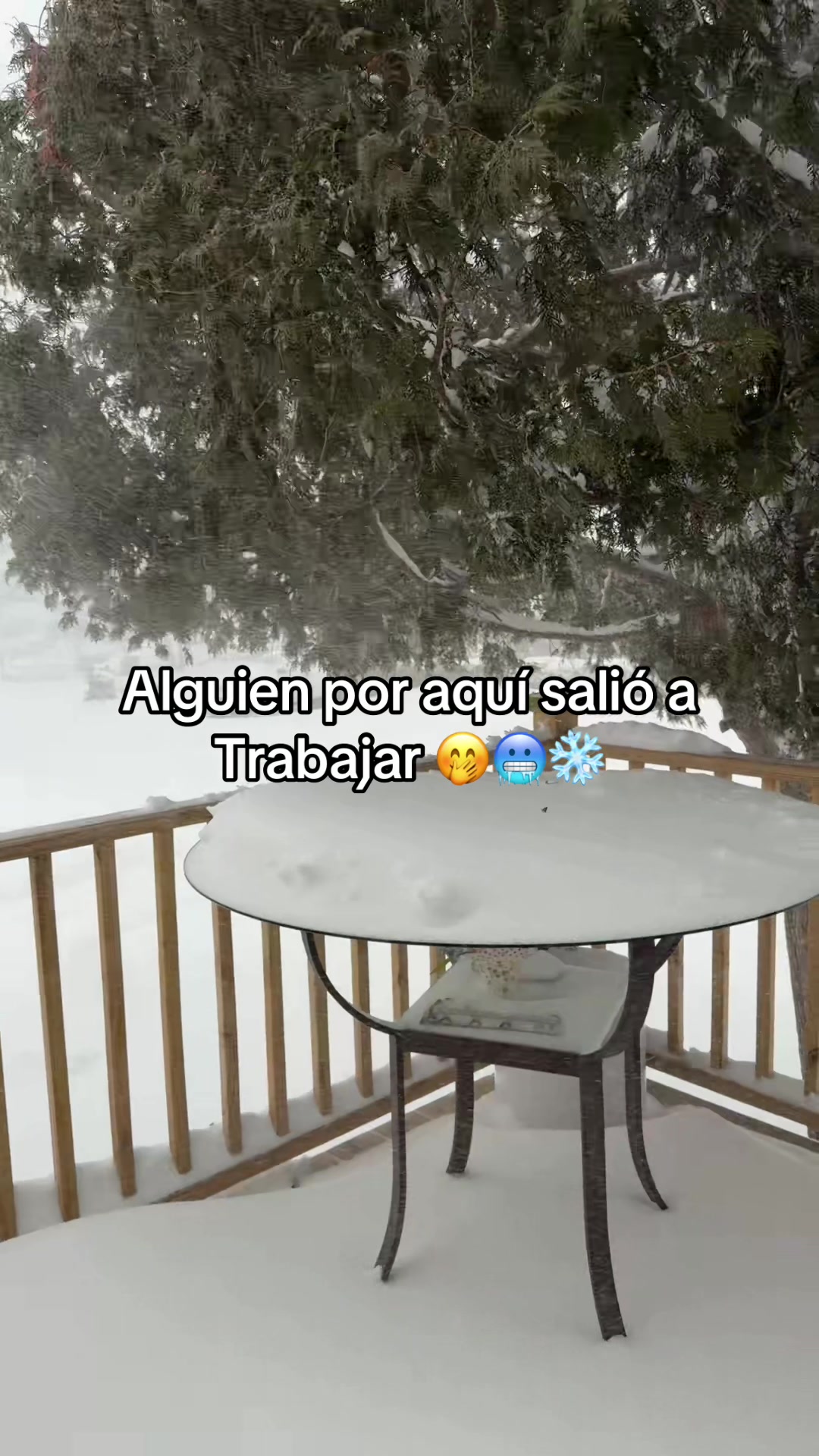@Zaida Ojeda