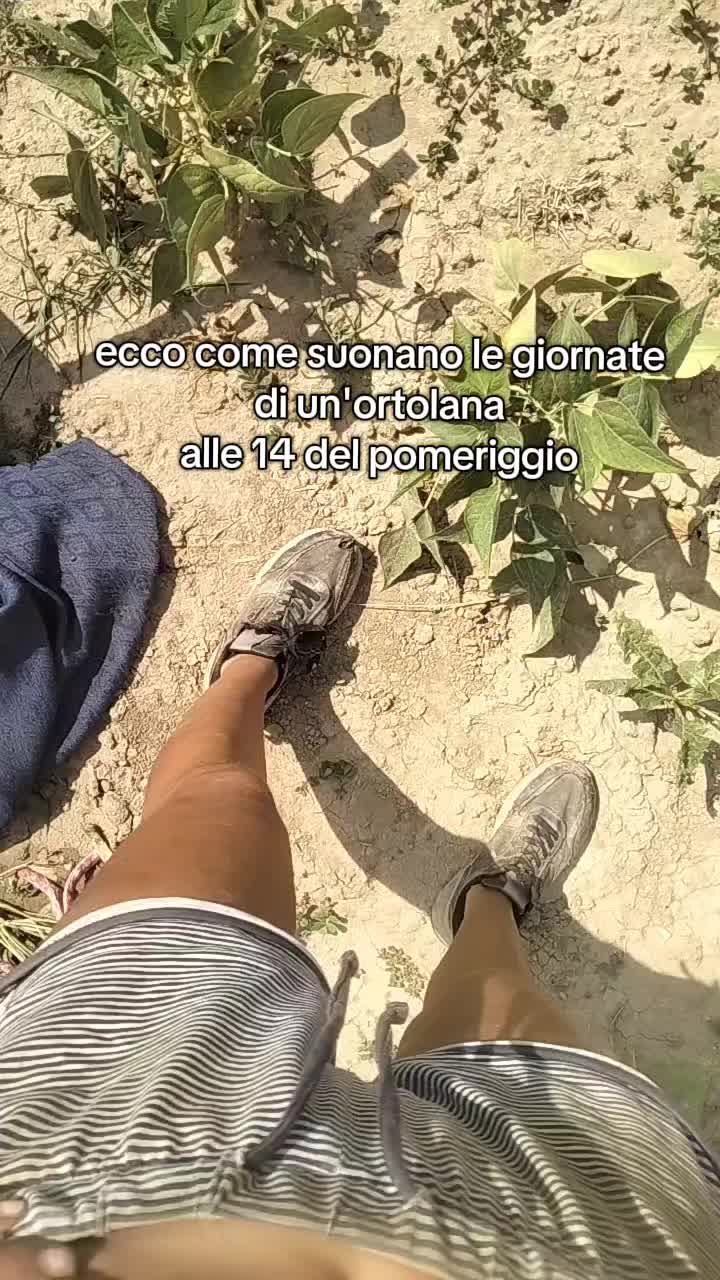 @Ilaria Ridolfi