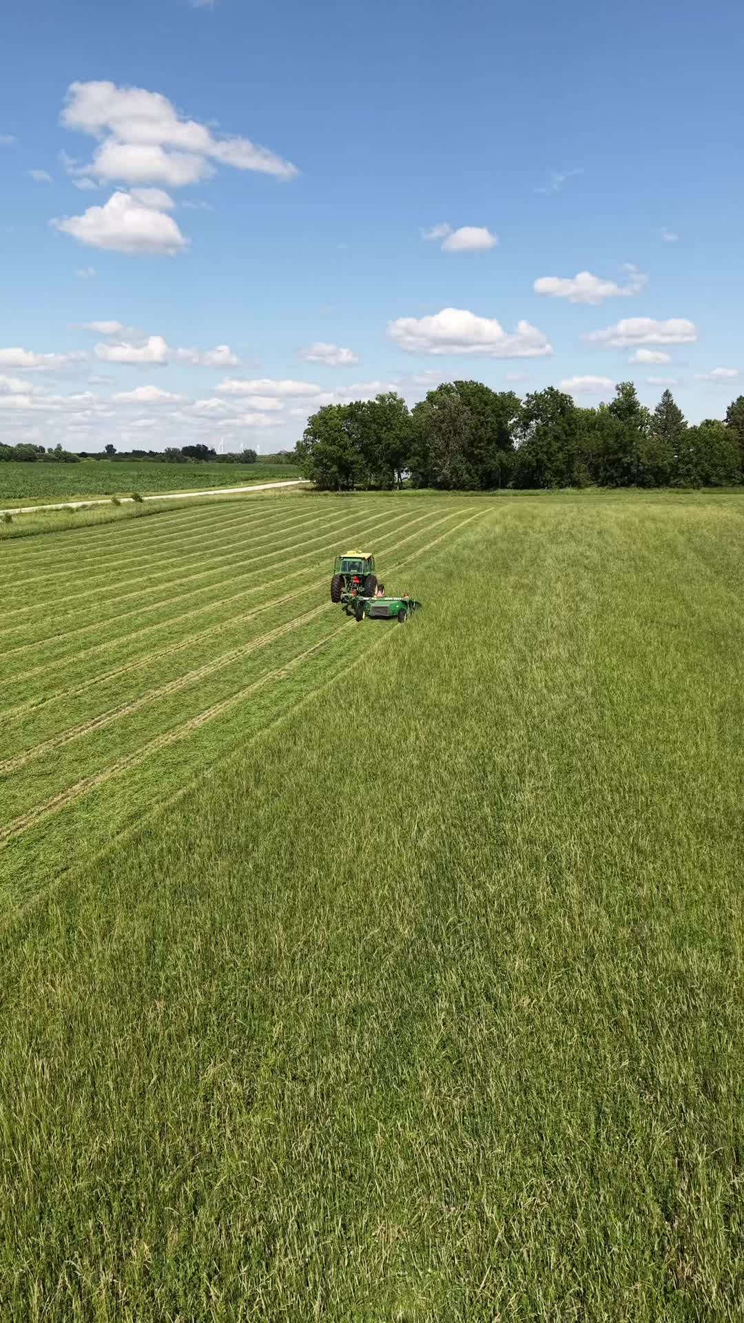 @Hilbert Farms