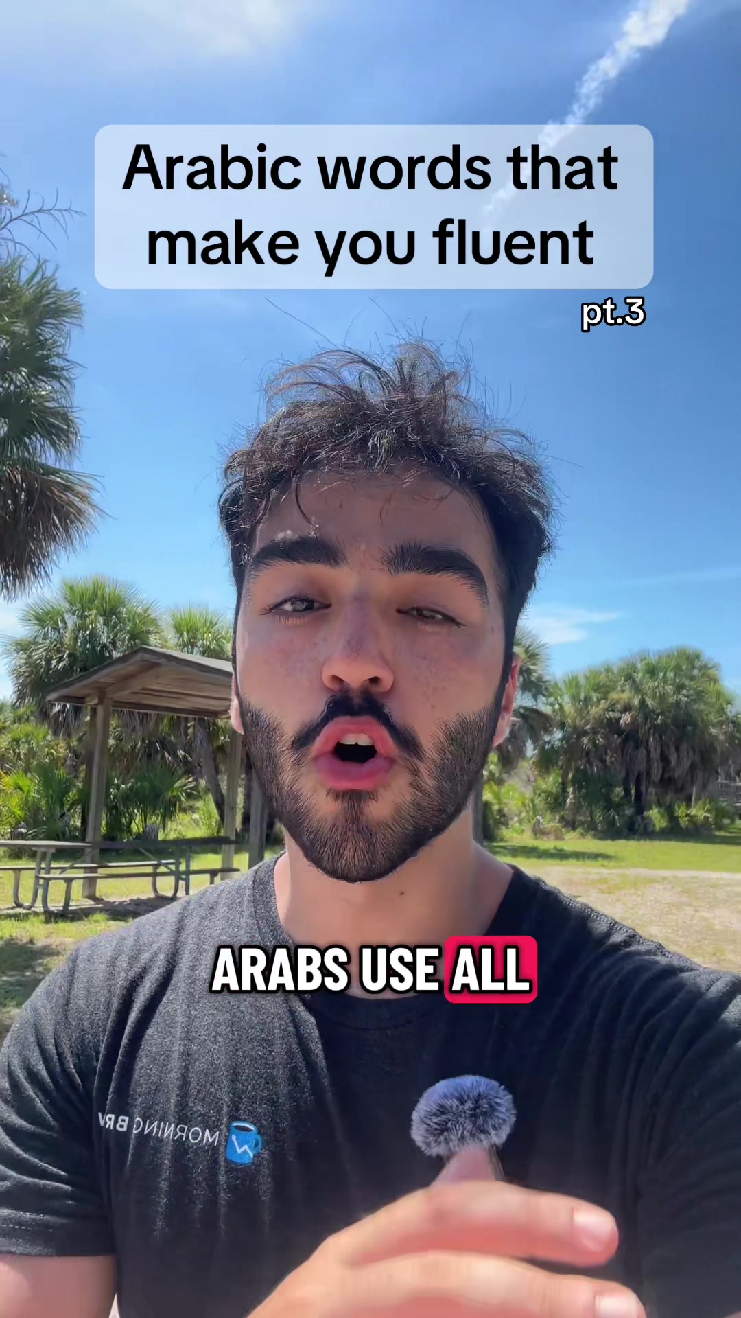 @mahdi.polyglot