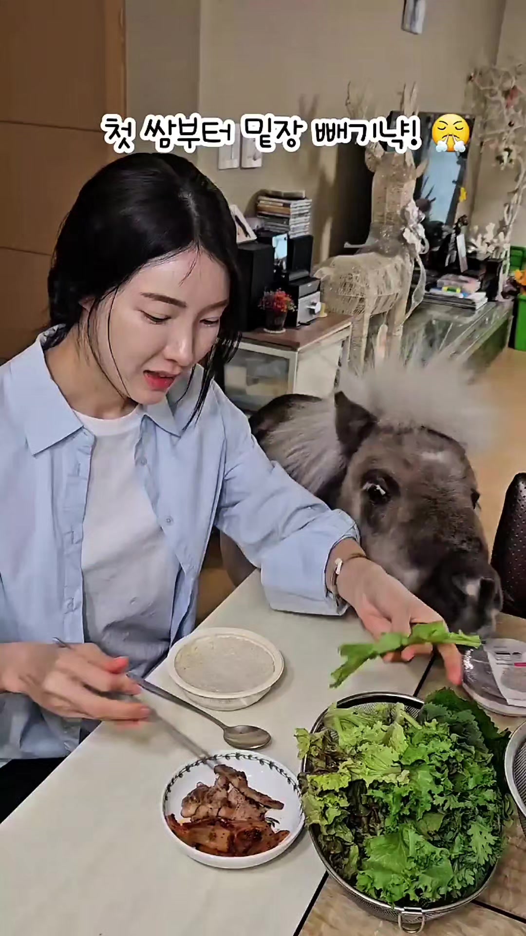 @작은말월리 | 월리플랍🦄