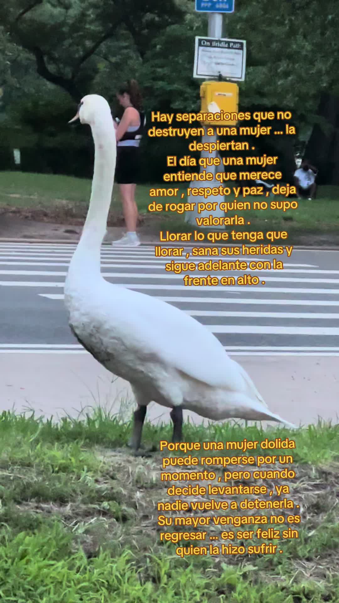 @user5416152358449