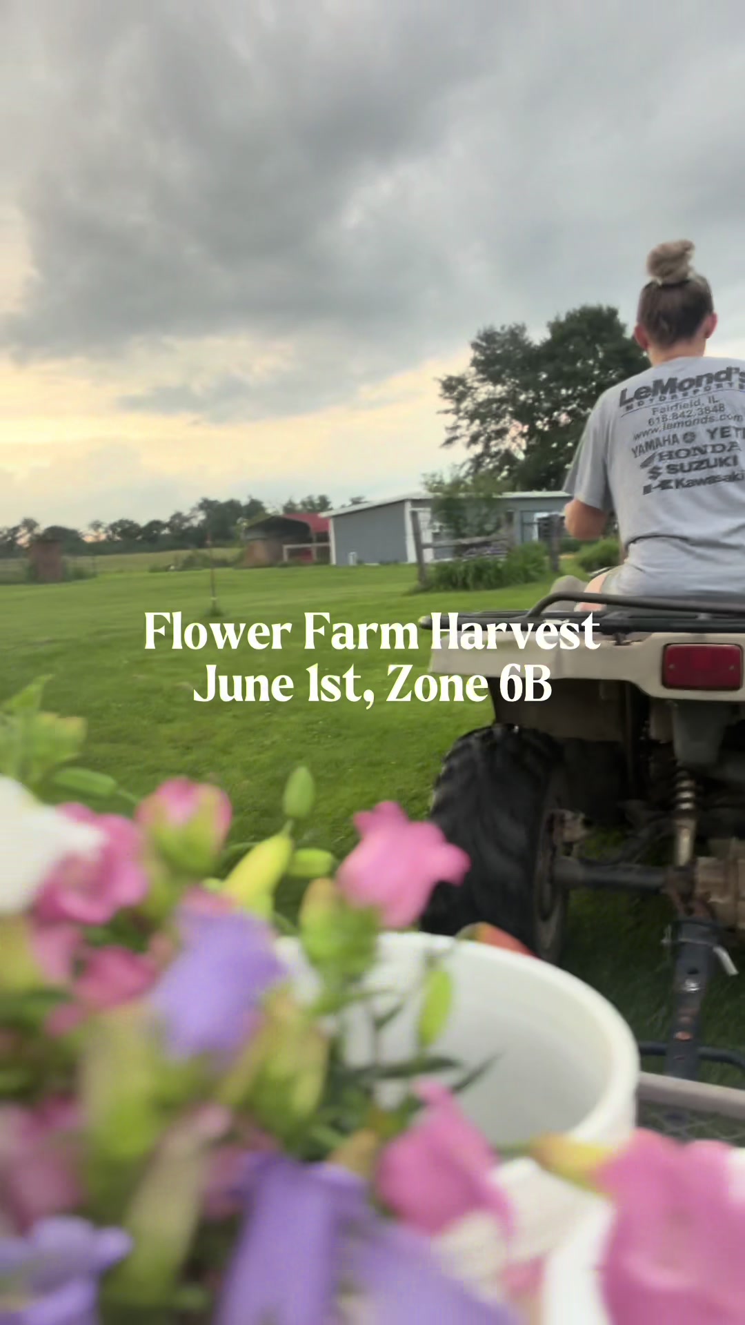 @Blessed Blooms Flower Farm🌷🪴