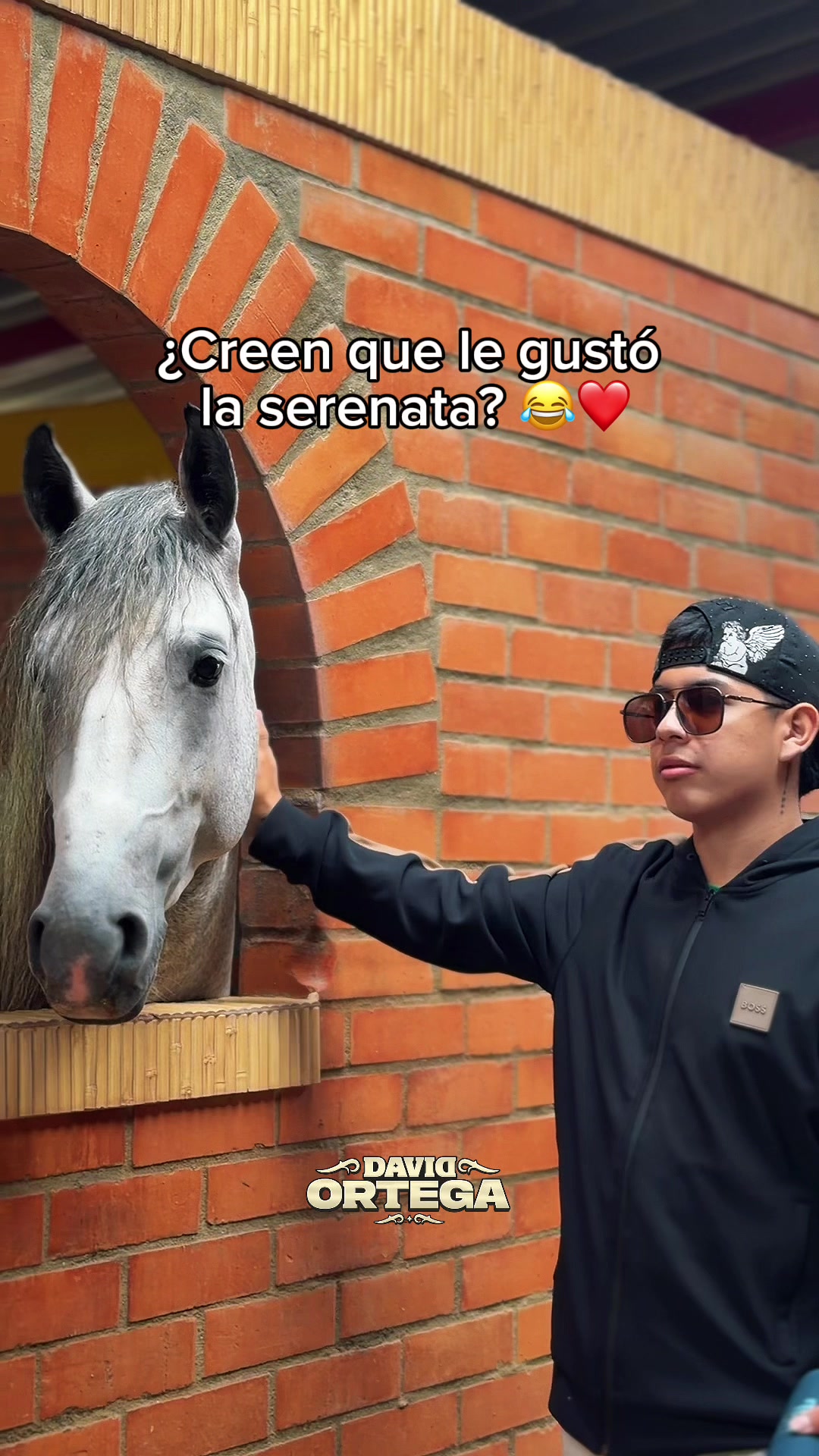 @davidortega.oficial
